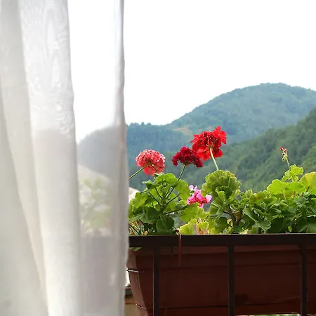 Hotel Family Flora